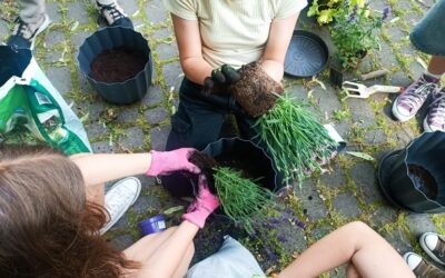 eko Wydarzenia z WFOŚiGW